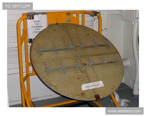 战斗机机载雷达的极化分集抗干扰